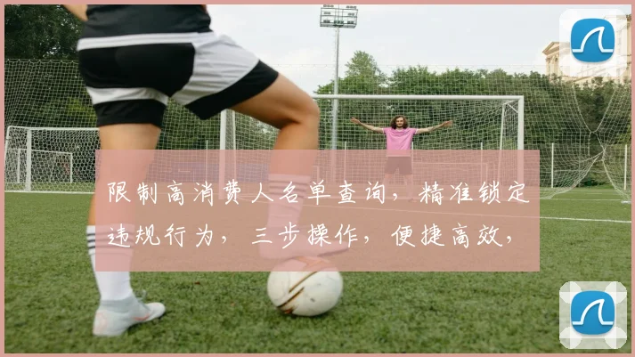 限制高消费人名单查询，精准锁定违规行为，三步操作，便捷高效，助你安心查询。