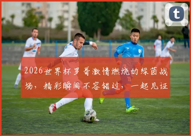 2026世界杯罗哥激情燃烧的绿茵战场，精彩瞬间不容错过，一起见证